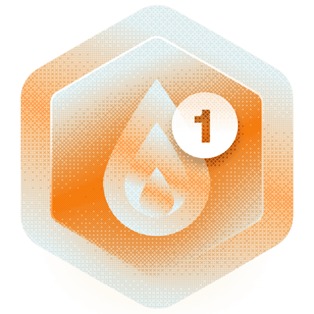 Badge-IDO-1.png
